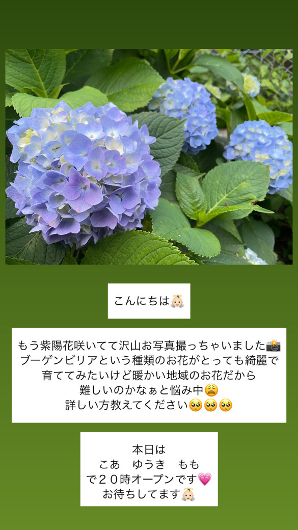(178KB)