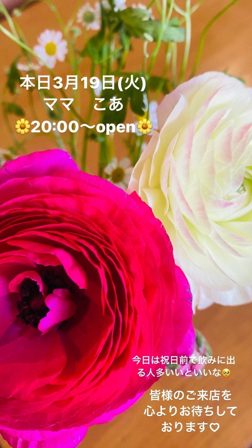 (214KB)