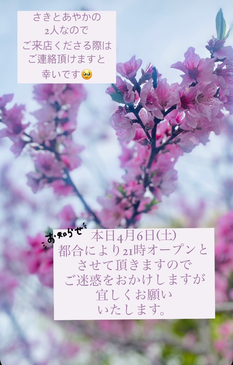 (233KB)