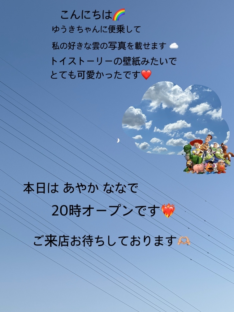 (253KB)