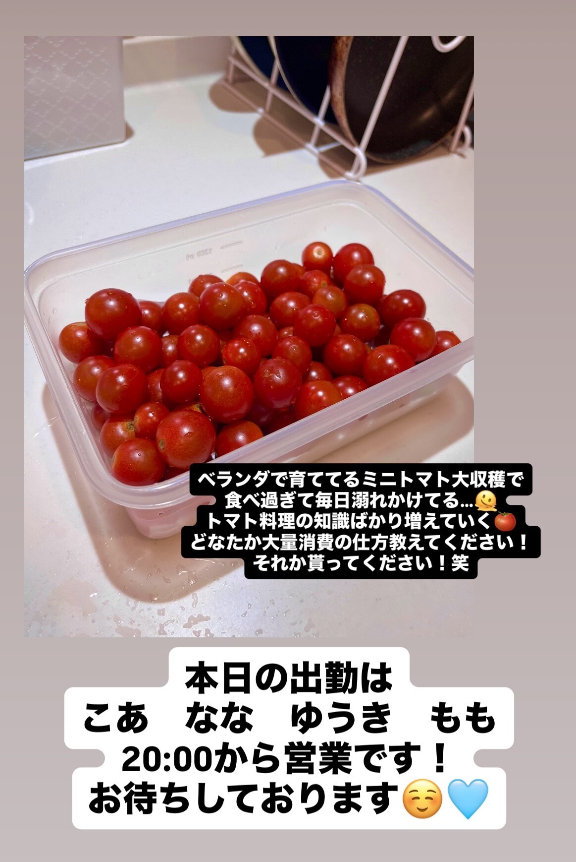 (298KB)
