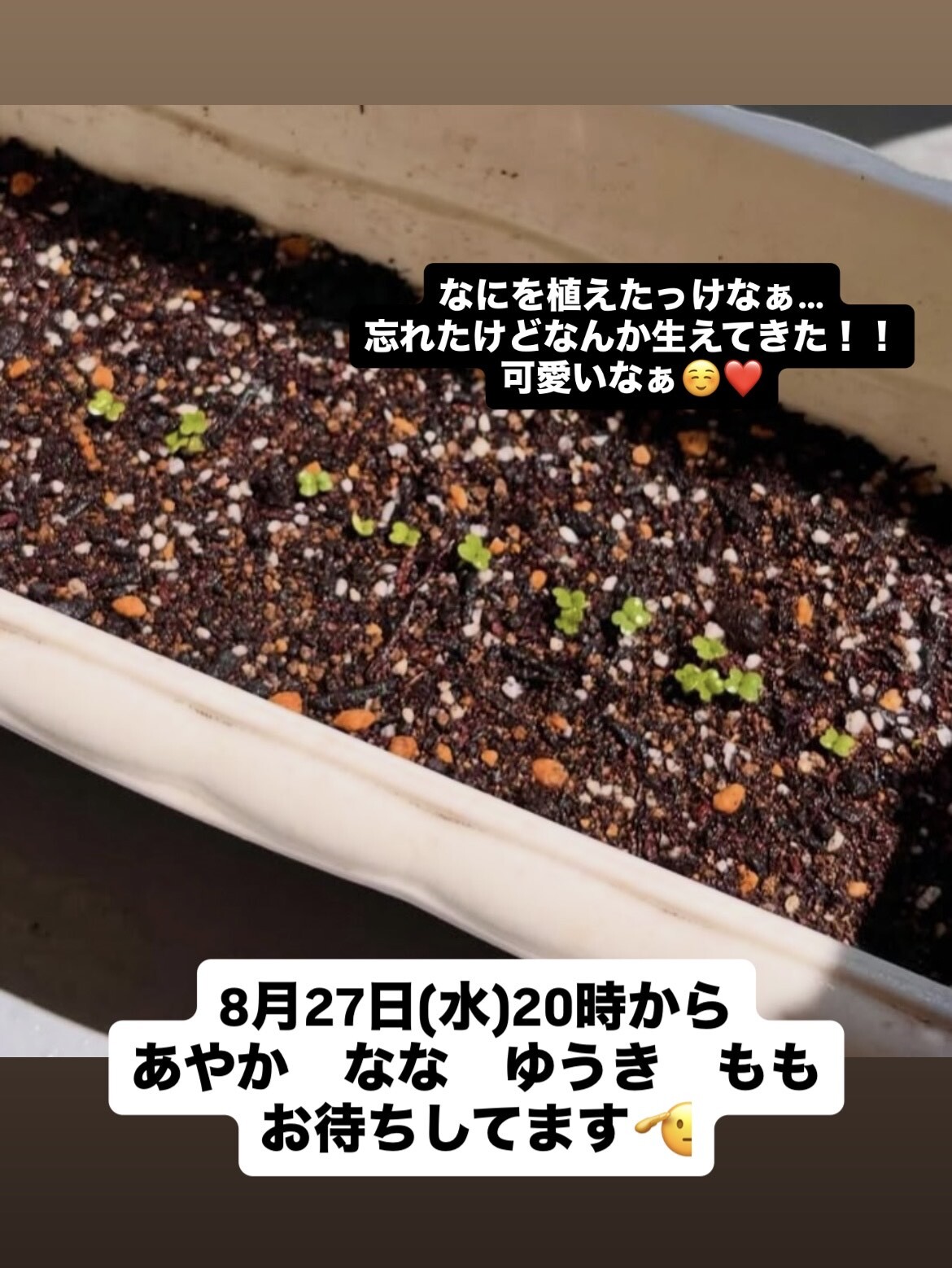 (301KB)