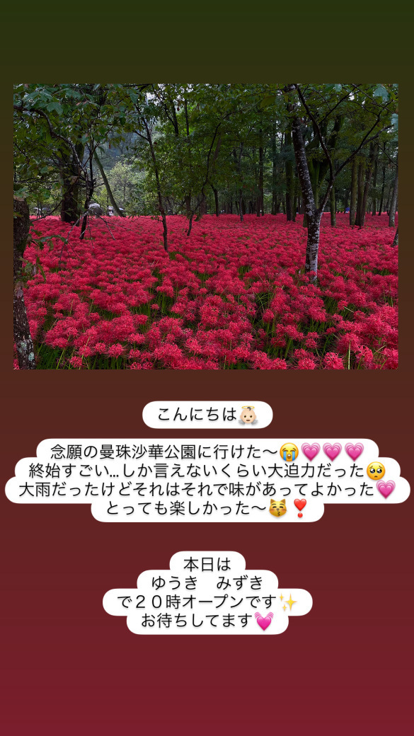 (234KB)