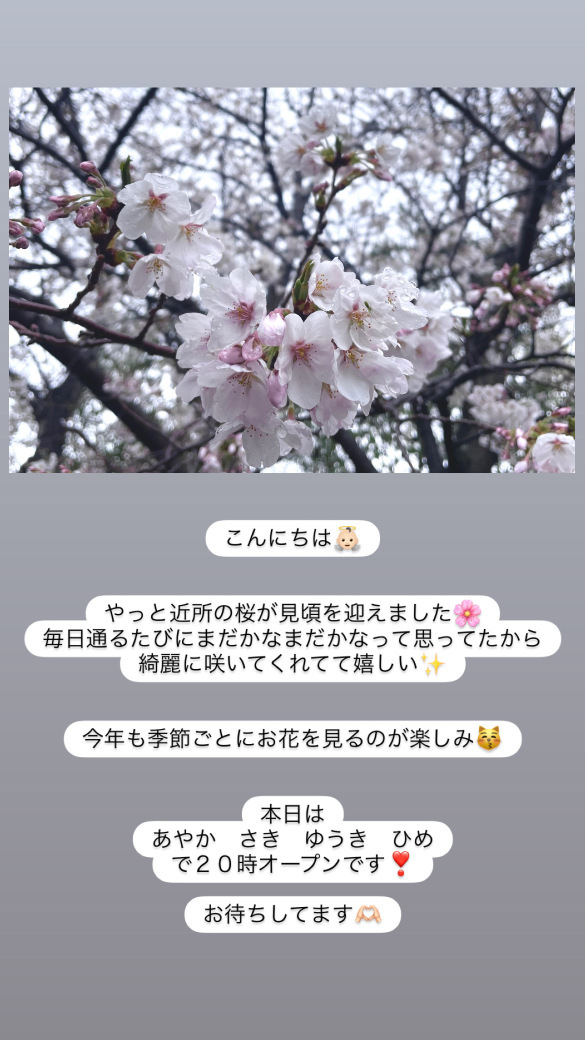 (170KB)