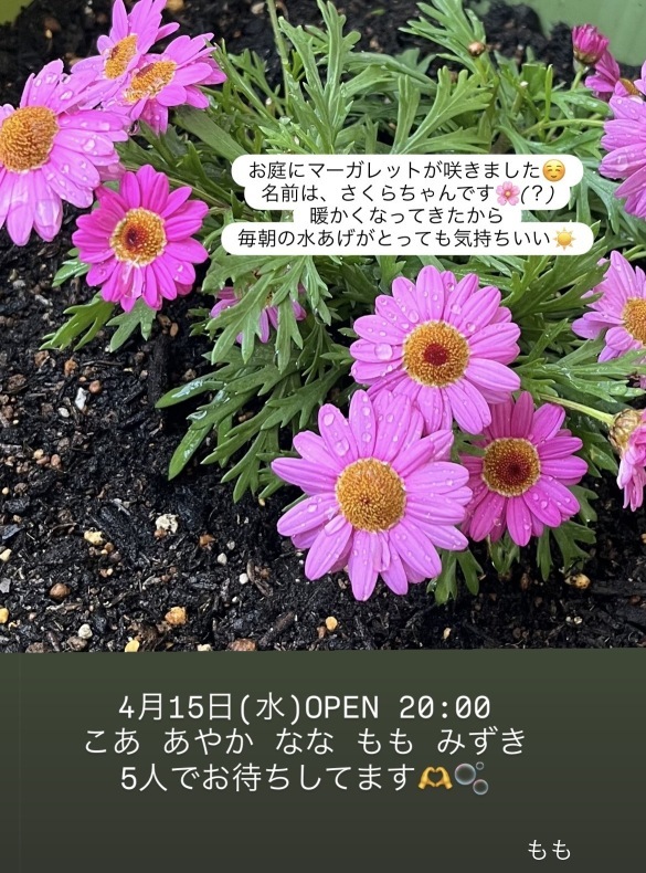 (201KB)