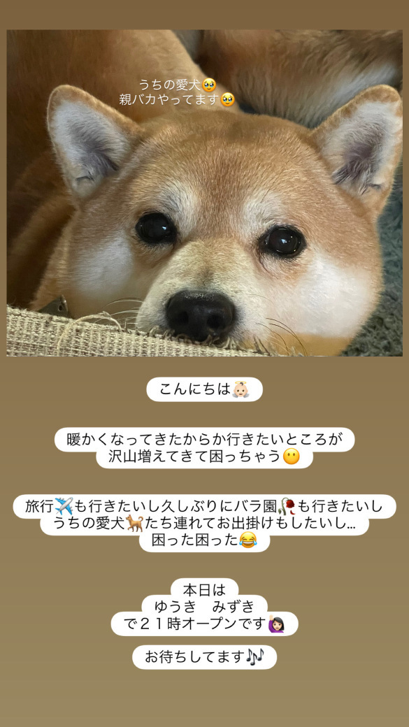 (167KB)