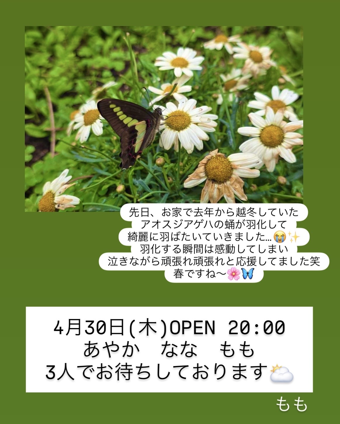 (287KB)