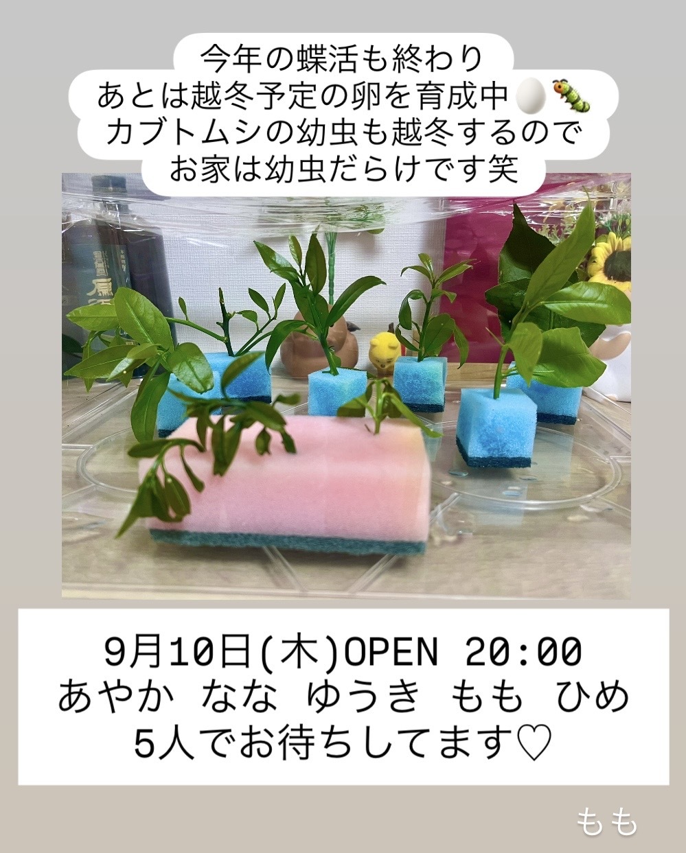 (286KB)