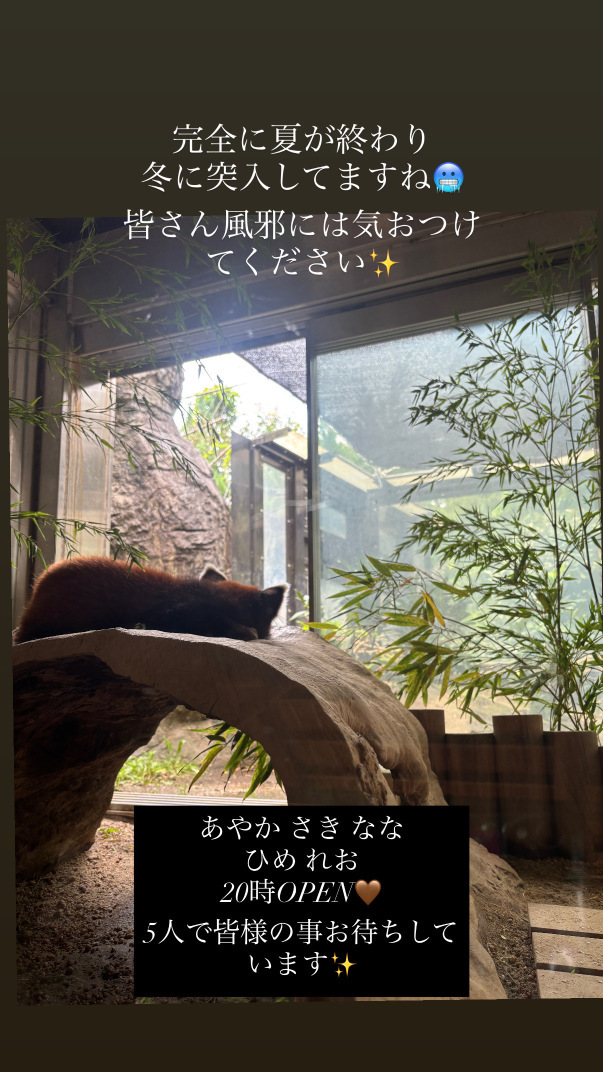 (233KB)